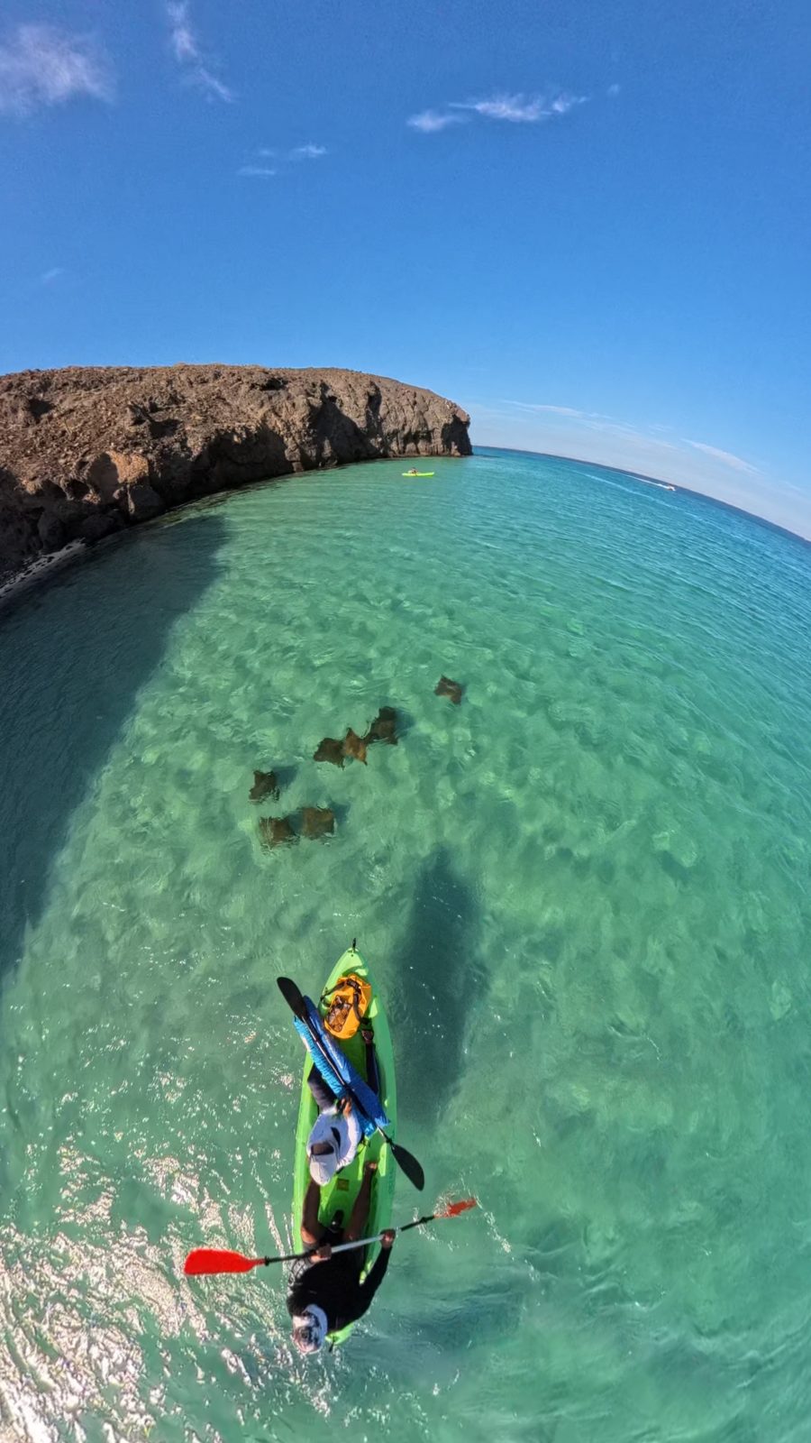 Vista aérea de un kayak sobre el agua turquesa cristalina de Tecolote con mantarrayas debajo