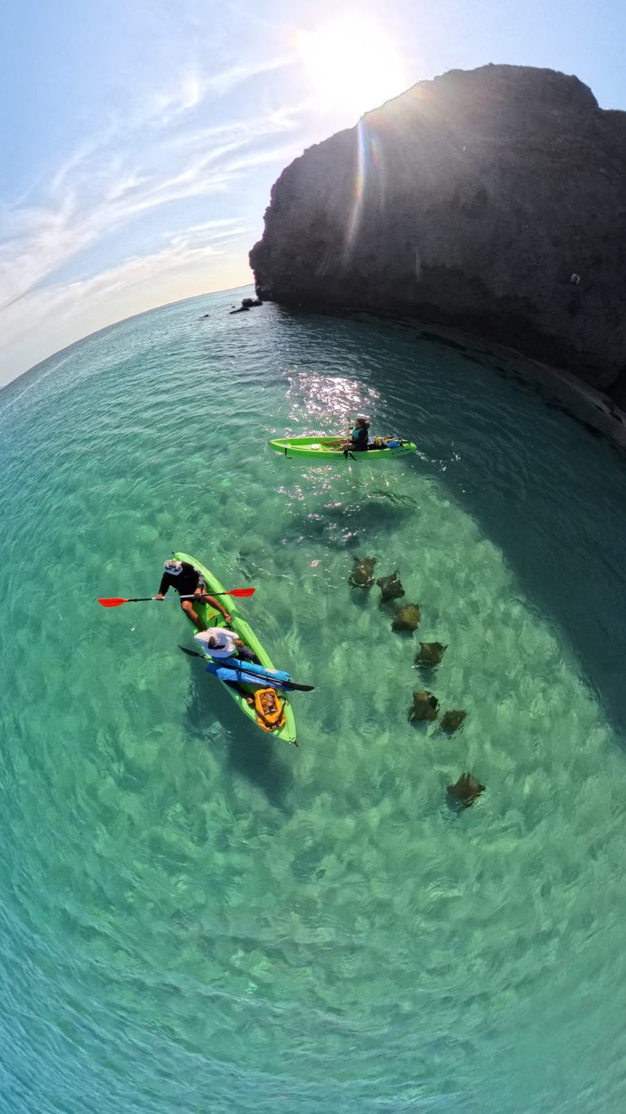 Vista aérea de un kayak entre mantarrayas en Tecolote