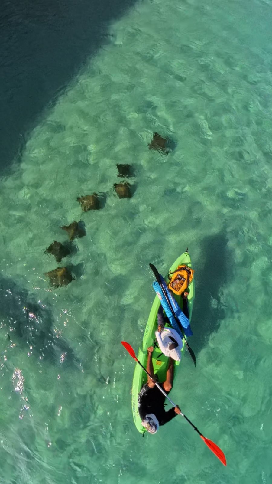 Kayakista visto desde arriba sobre el agua turquesa con mantarrayas